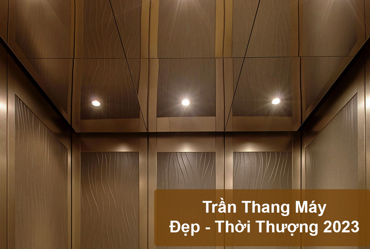 Top 25+ mẫu trần thang máy đẹp, mới nhất 2023